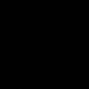 Meet your Posher, Bailey